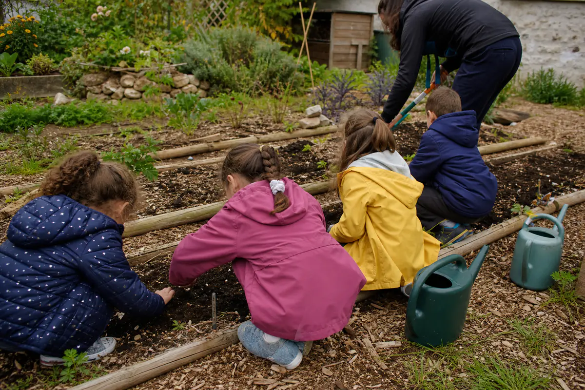 Enfants accompagnés semant des radis dans un potager d’école paillé, avec arrosoirs et composteur.
