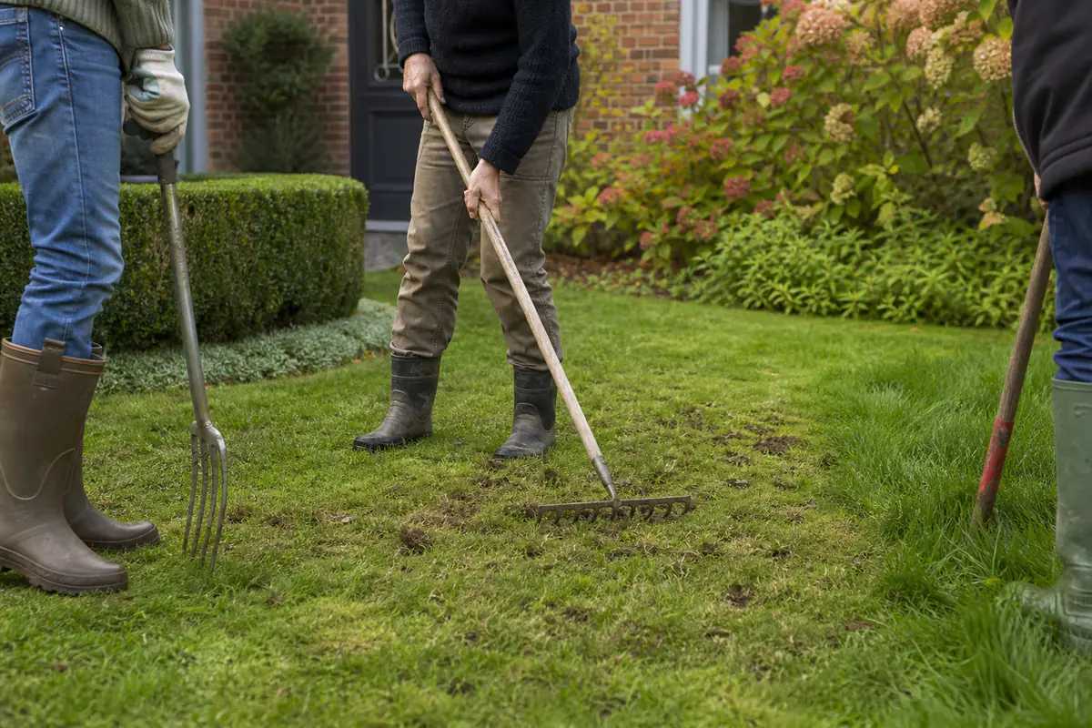 Groupe de jardiniers observant une pelouse clairsemée et aérée dans un jardin français lumineux