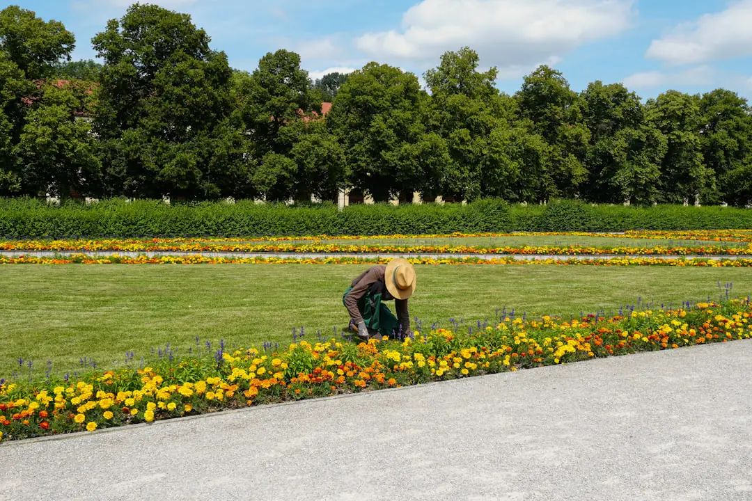 Jardinier taillant doucement une haie dans un jardin allemand, avec outils manuels et feuilles compostées
