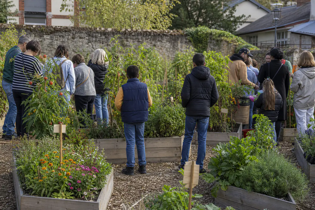 Jardiniers de tous âges réunis autour de bacs potagers fleuris lors d’une fête de jardin partagé