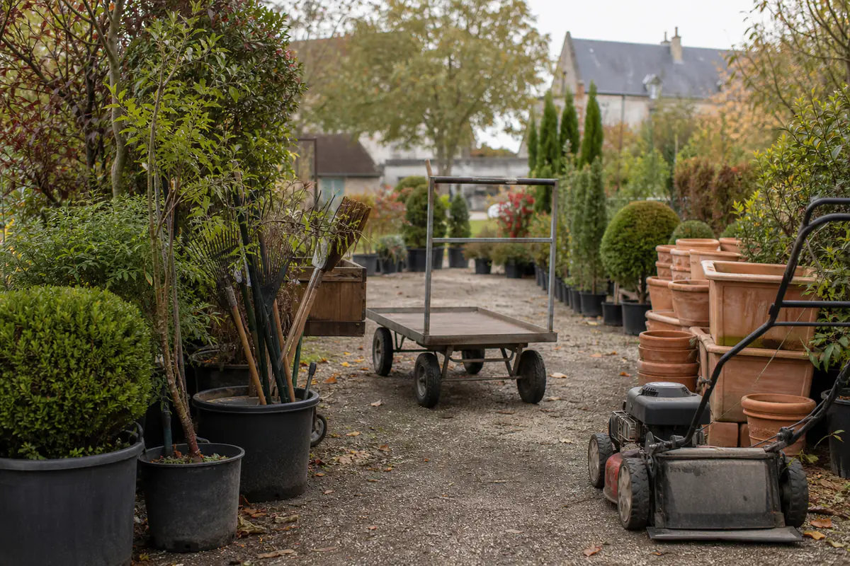 Plantes en conteneurs, outils de jardin d’occasion et chariots disposés pour une vente municipale en extérieur