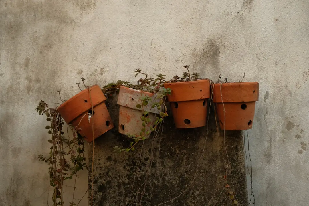 Jardin français en novembre avec massifs paillés, feuilles rassemblées et pots protégés avant le gel