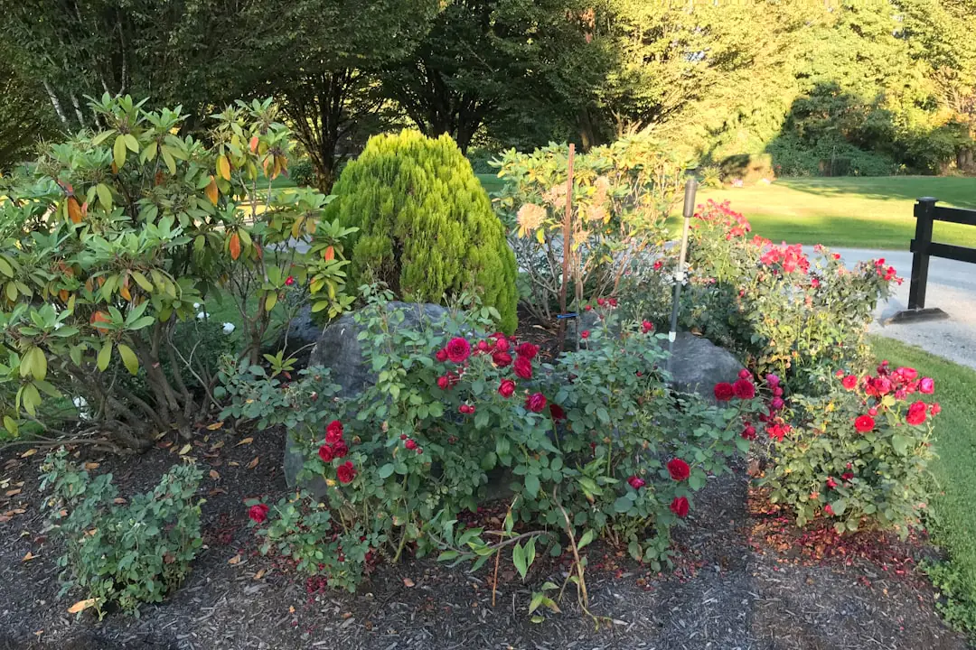 Petit groupe de seniors réunis autour de bacs potagers paillés dans un jardin partagé français au soleil doux