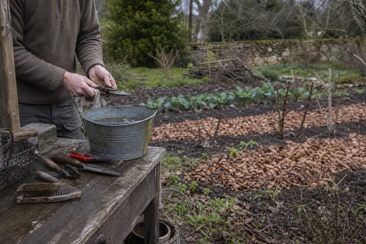 Jardin familial français en hiver, massifs couverts de feuilles et jardinier nettoyant ses outils près d’un arbuste