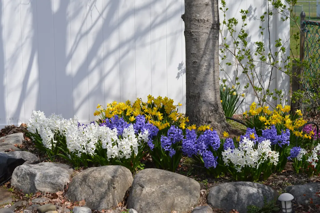 Jardinier préparant des semis dans des godets récupérés près d’un potager paillé au printemps