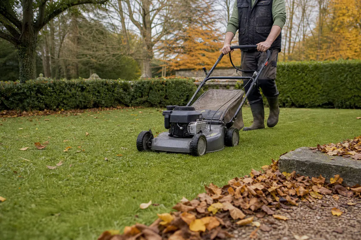 Jardinier tondant une pelouse sèche à cinq centimètres durant une douce journée d’automne