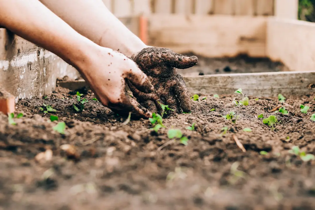 Jardinière échangeant avec un animateur devant des plants et outils lors d’un atelier en bibliothèque