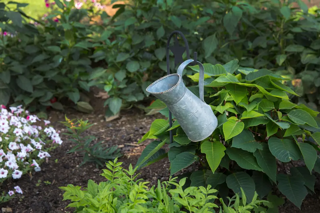 Jardinière comparant des plants sains et des étiquettes dans une pépinière locale au printemps