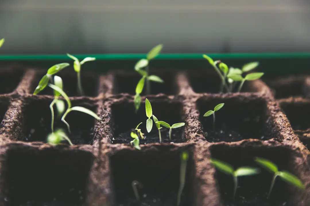 Jardiniers bénévoles paillant des cultures dans un jardin collectif français avec bacs, compost et récupérateur d’eau