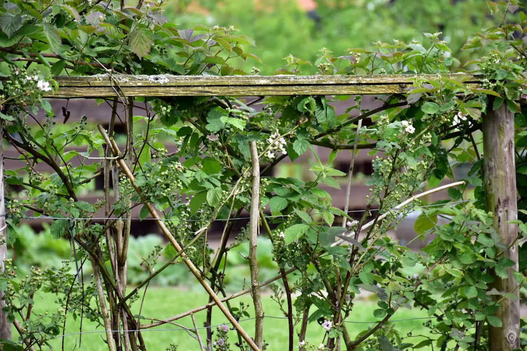 Jardin familial français au fil des saisons avec potager paillé, massifs fleuris, fruitiers et outils rangés