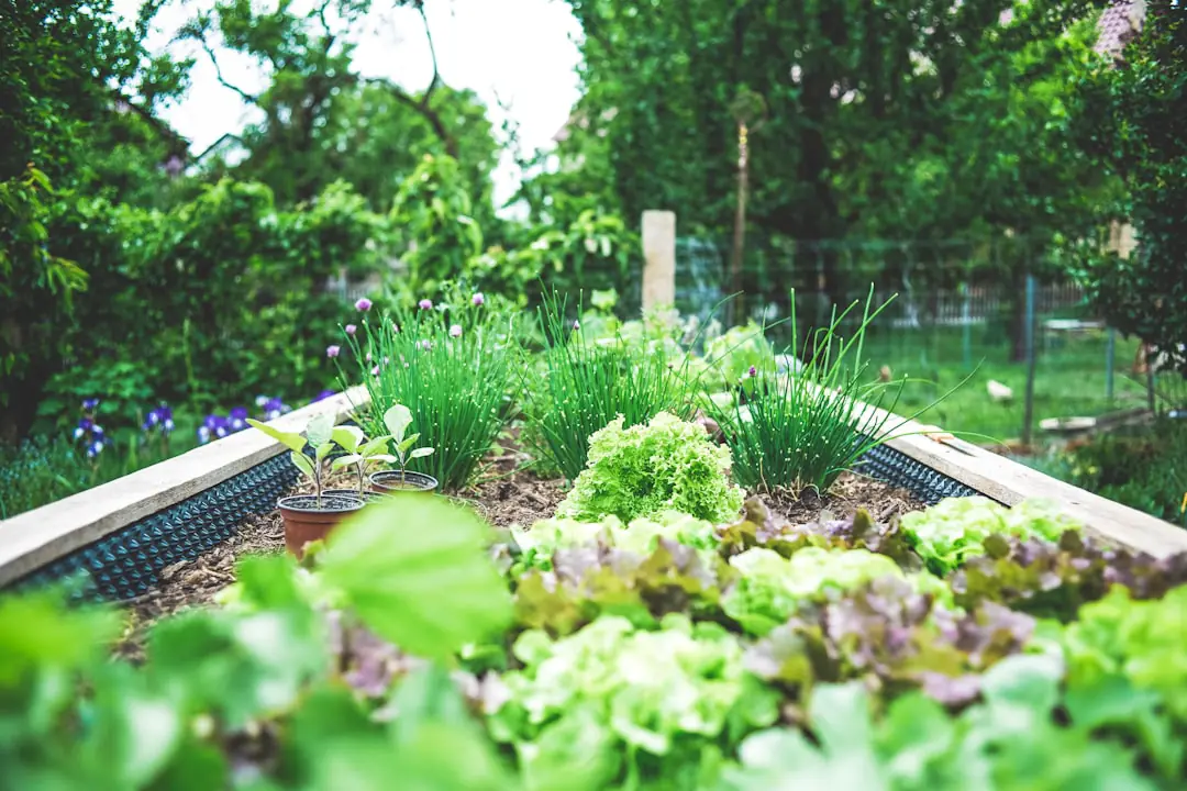 Jardinier et voisine discutant devant une haie fleurie bien taillée entre deux jardins de ville français