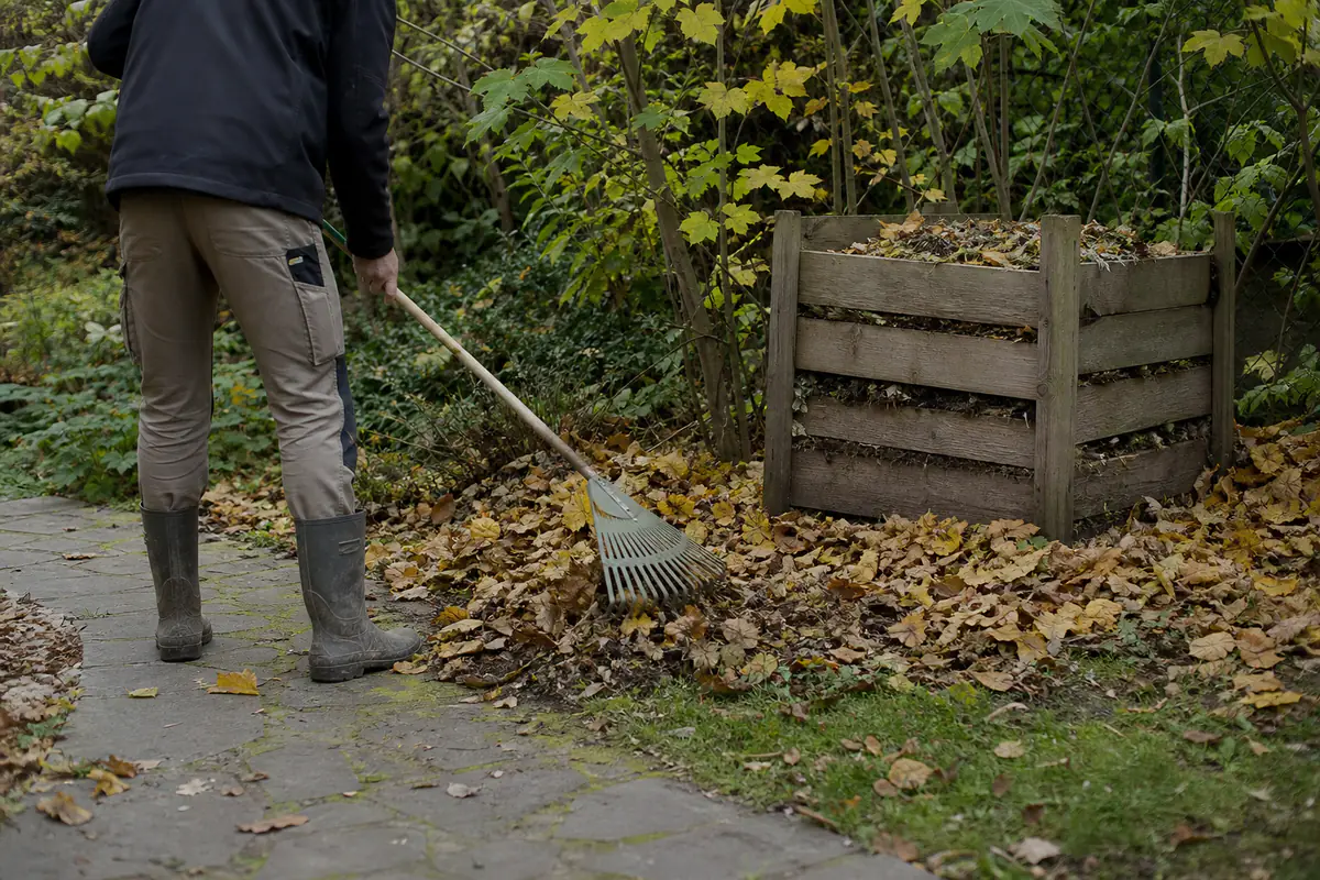 Tas de feuilles mortes saines rassemblé au râteau dans un jardin français, près d’un composteur en bois.