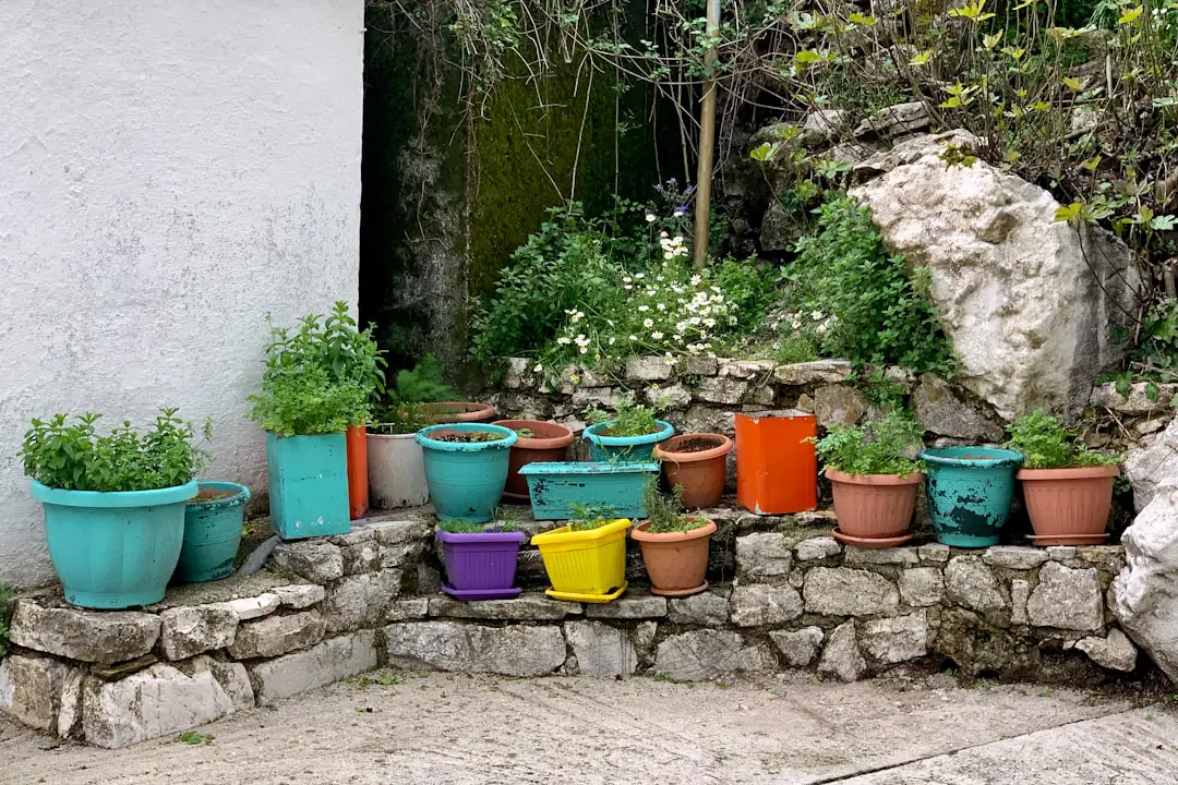 Jardinier comparant un paillage organique et des gadgets de jardinage superflus près d’un potager français