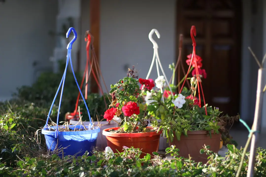 Jardinière vérifiant des pots protégés du gel dans un jardin français calme lors d’une matinée d’hiver