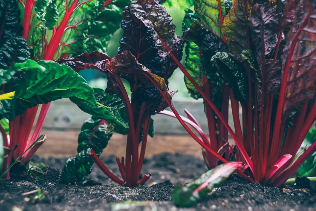 Jardinier examinant des outils, pots et plantes remisés dans une jardinerie lumineuse avant fermeture