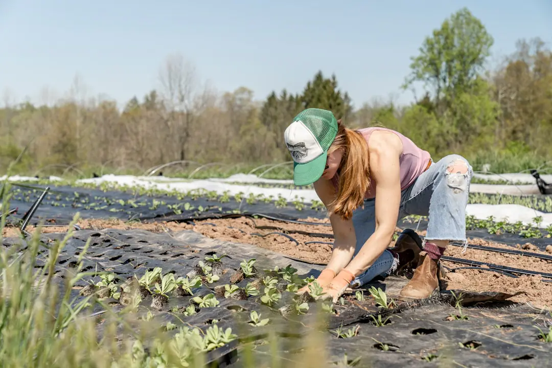 Atelier de jardinage créatif avec pots, feuillages tombés, outils manuels et composition végétale au soleil doux