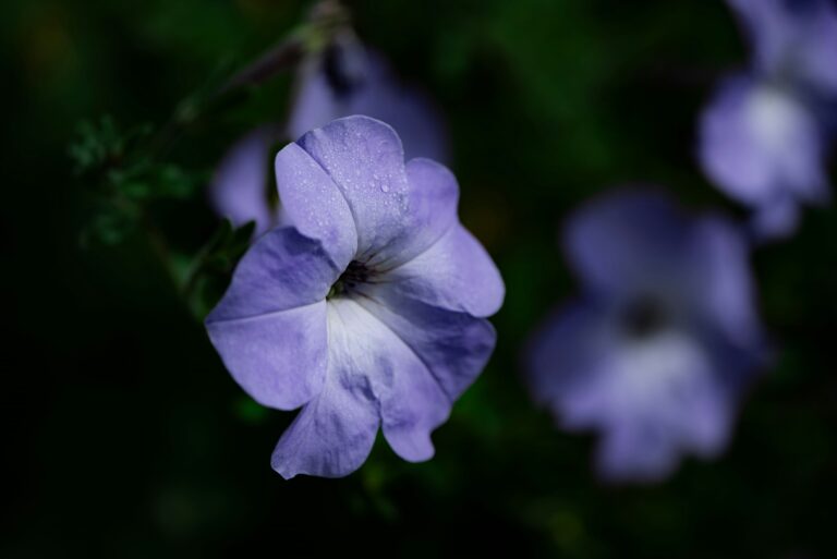 découvrez tous les secrets du jardinage pour obtenir de magnifiques jardins avec notre guide pratique sur le gardening secrets.