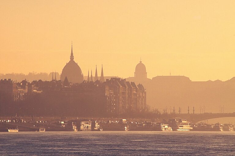 service de lutte antiparasitaire pour les fraises : strawberry pest control offre une solution efficace pour protéger vos cultures des ravageurs et maladies.