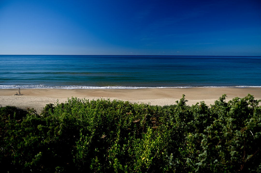 découvrez notre gamme de débroussailleuses abordables, alliant performance et prix compétitif. idéales pour l'entretien de vos espaces verts, elles vous garantissent une coupe efficace sans vider votre portefeuille. faites le choix de la qualité sans compromis !