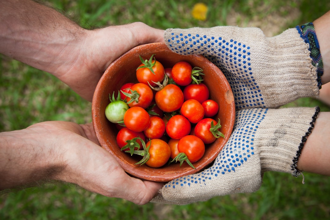 découvrez les dernières actualités, techniques et innovations en agriculture pour un développement durable et une production optimisée.