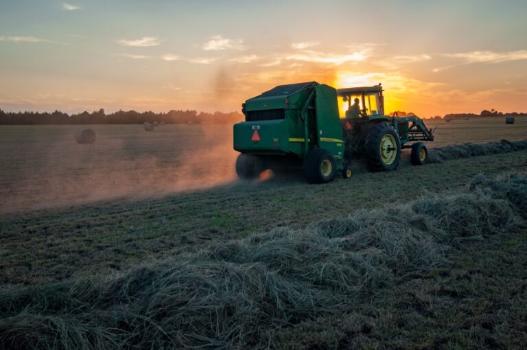 découvrez tout sur l'agriculture : techniques, innovations, conseils et actualités pour un avenir durable et une production agricole optimisée.
