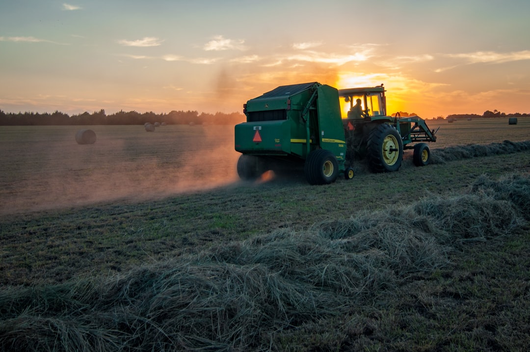 découvrez tout sur l'agriculture : techniques, innovations, conseils et actualités pour un avenir durable et une production agricole optimisée.