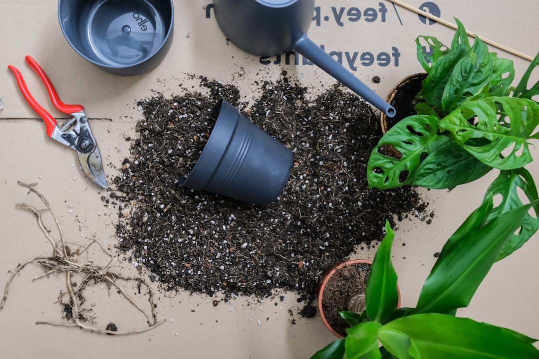 découvrez le jardinage autonome : une approche innovante pour entretenir votre jardin de manière intelligente et durable grâce aux technologies automatisées.