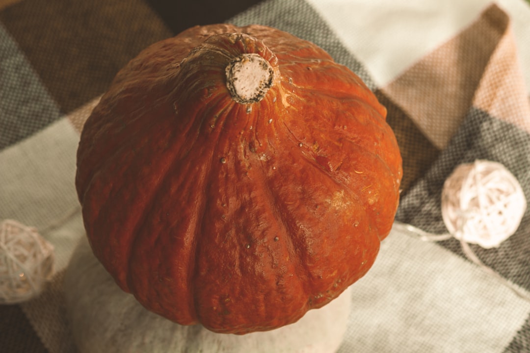 découvrez des idées originales et tendances pour une décoration d'automne chaleureuse : couleurs naturelles, accessoires saisonniers, inspirations pour transformer votre intérieur en cocon douillet.