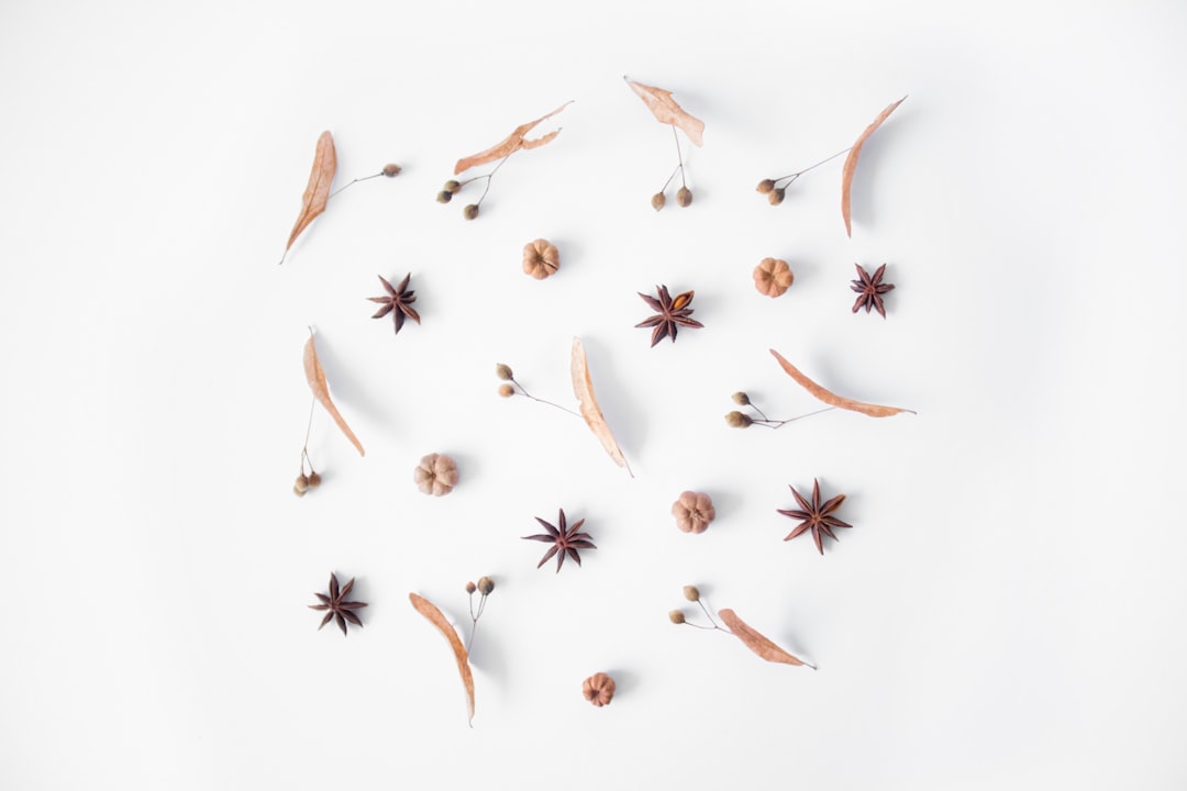 découvrez nos idées et conseils pour une décoration d’automne chaleureuse : couleurs, accessoires, diy et inspirations tendance pour transformer votre intérieur cette saison.