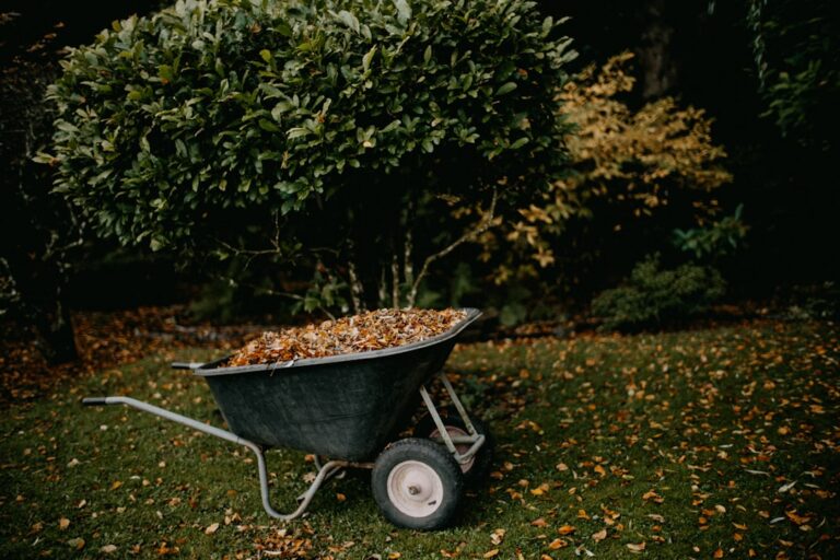 découvrez nos conseils et astuces pour réussir votre jardinage d’automne : préparez votre jardin pour l’hiver, plantez les bonnes espèces et profitez des couleurs automnales !