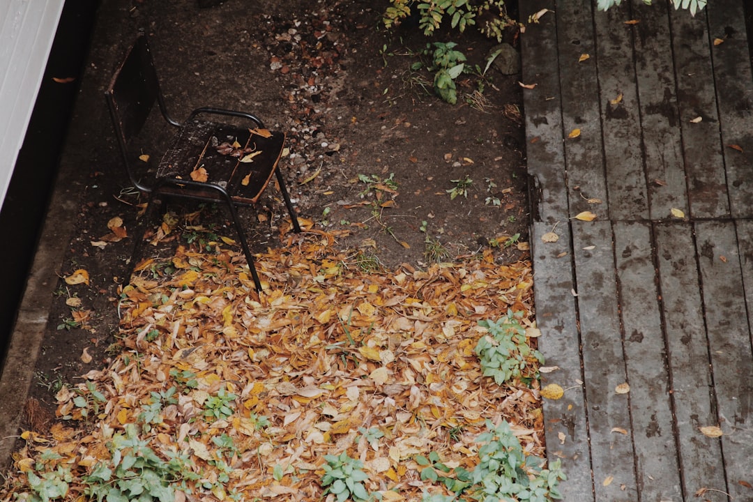 découvrez les erreurs courantes à éviter lors du jardinage en automne et adoptez les bonnes pratiques pour préparer votre jardin à l’hiver. conseils simples pour protéger vos plantes et assurer une belle reprise au printemps.