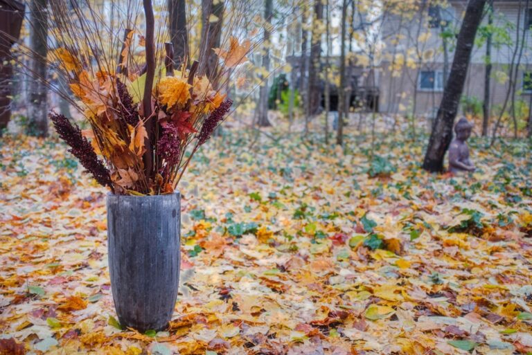découvrez les erreurs courantes à éviter lors du jardinage d'automne pour assurer la santé et la beauté de votre jardin tout au long de la saison.