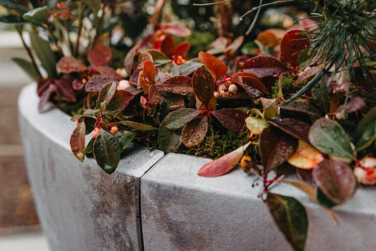 évitez les erreurs courantes du jardinage d’automne grâce à nos conseils pratiques pour préparer votre jardin avant l’hiver et assurer une belle reprise au printemps.