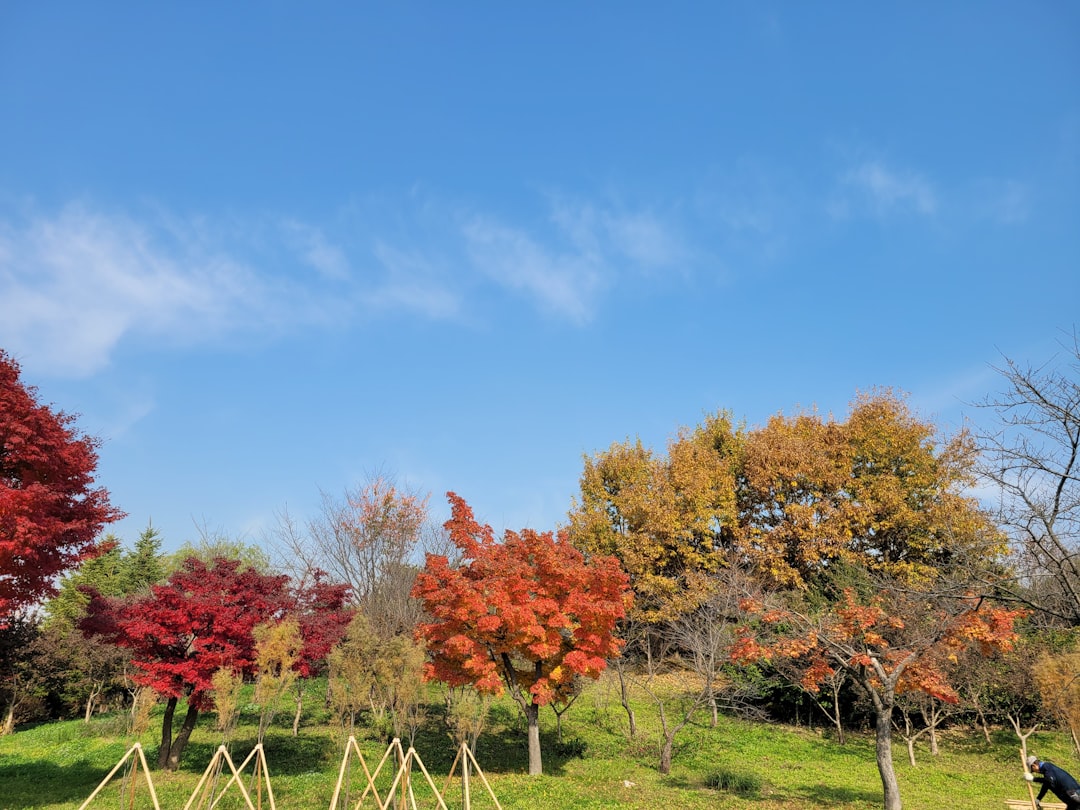 découvrez nos ateliers d'automne ! participez à des activités créatives et ludiques pour tous les âges. apprenez, partagez et vivez une expérience enrichissante en cette saison colorée.