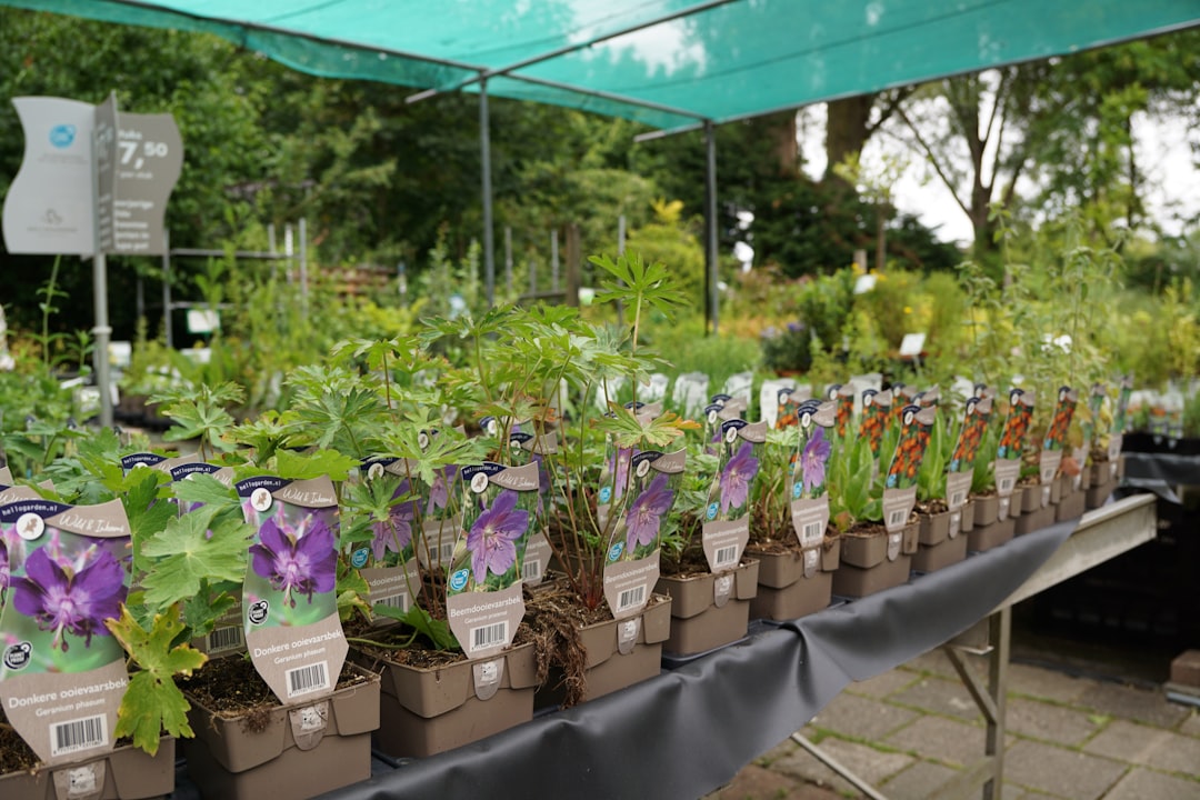 découvrez le projet de jardinage primé des écoles, une initiative éducative innovante qui encourage les élèves à apprendre en cultivant et en respectant la nature.