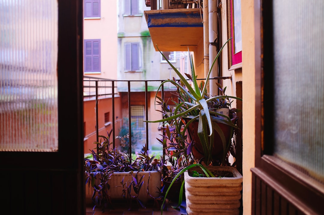 découvrez des idées inspirantes pour décorer votre balcon avec style et confort, alliant plantes, mobilier et accessoires tendance.