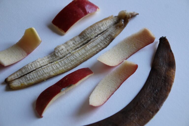 découvrez les nombreux usages et bienfaits de la peau de banane, un déchet naturel aux vertus insoupçonnées pour votre maison, votre jardin et votre santé.