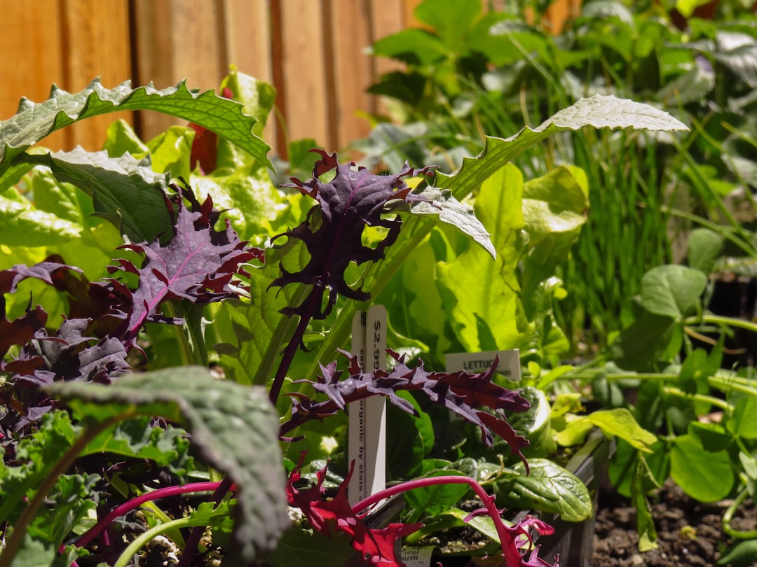 découvrez nos offres exclusives black friday sur les outils et accessoires de jardinage. profitez de réductions exceptionnelles pour préparer votre jardin à petit prix !