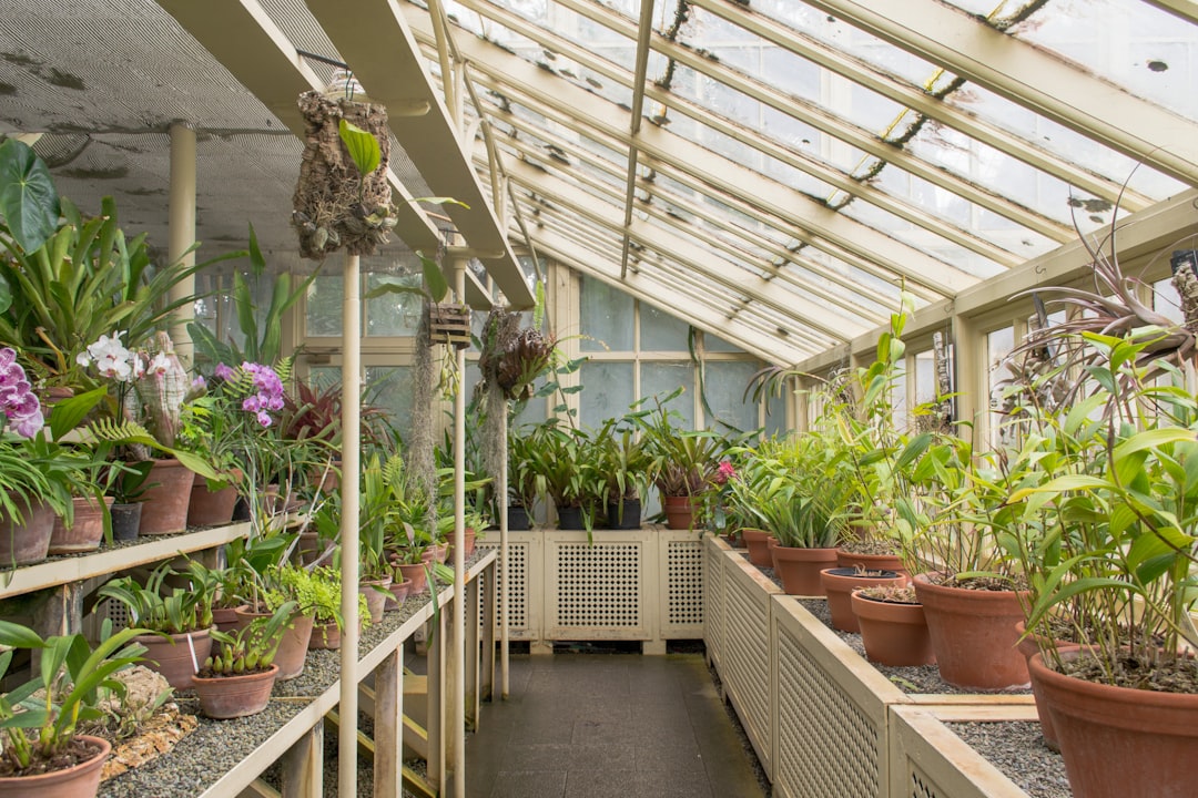 découvrez la beauté et la diversité des plantes dans notre jardin botanique, un espace paisible dédié à la préservation de la nature et à l'apprentissage. flânez parmi des milliers d'espèces, profitez d'activités éducatives et ressentez la sérénité d'un environnement naturel enchanteur.