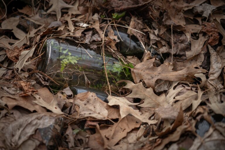 découvrez la signification et les traditions liées à l'inhumation en bouteille, une pratique funéraire unique et mystérieuse.