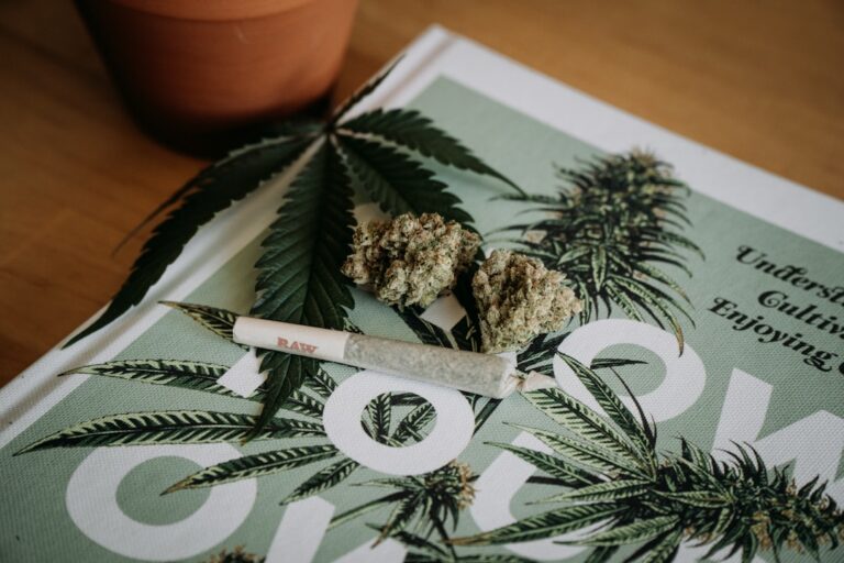 découvrez tout ce qu'il faut savoir sur le cannabis : ses usages, ses effets, la législation en vigueur et les dernières actualités.