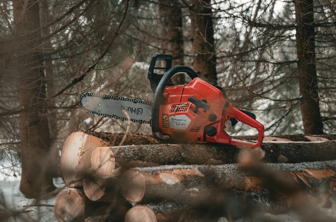 découvrez notre sélection de tronçonneuses performantes et fiables pour tous vos travaux de coupe et d’élagage. puissance, sécurité et ergonomie au rendez-vous.