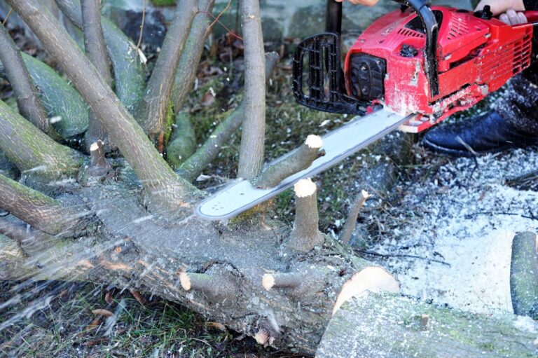 découvrez notre sélection de tronçonneuses performantes et sécurisées, idéales pour tous vos travaux de découpe de bois, du jardinage amateur aux usages professionnels.