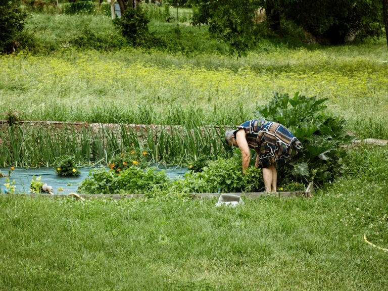 découvrez le chaos gardening : une méthode créative de jardinage favorisant la biodiversité et l’explosion de couleurs sans contraintes. idéal pour les amoureux de la nature et les jardiniers débutants !