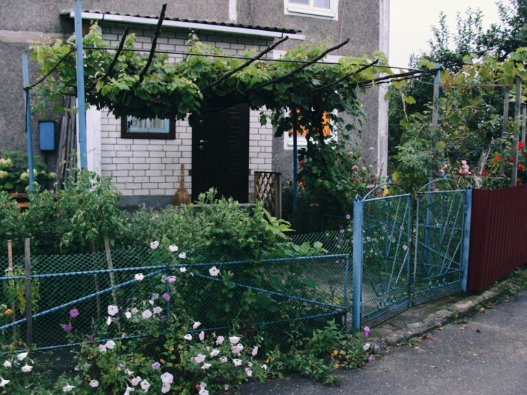 rejoignez le club de jardinage pour enfants, un espace ludique et éducatif où les enfants apprennent à cultiver leurs propres plantes tout en s'amusant.