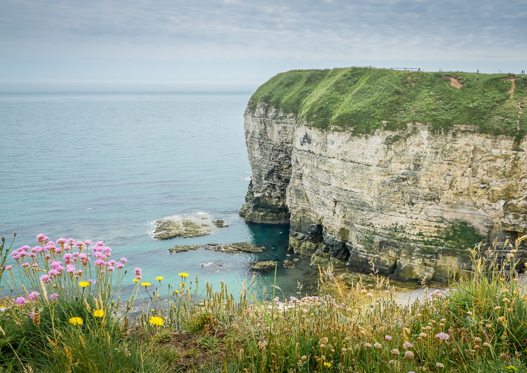 découvrez le jardinage sur falaise : des techniques innovantes pour créer et entretenir des jardins spectaculaires en terrain escarpé.