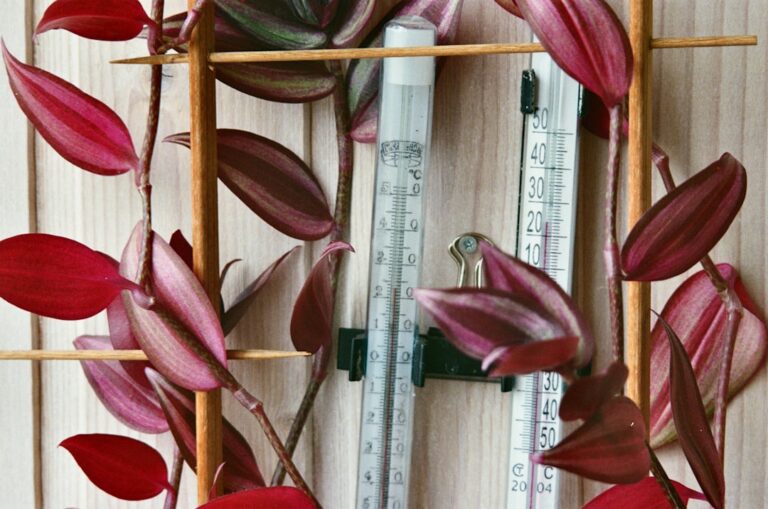 découvrez notre sélection de plantes grimpantes idéales pour embellir vos murs, treillis et jardins. conseils de plantation et d'entretien inclus.