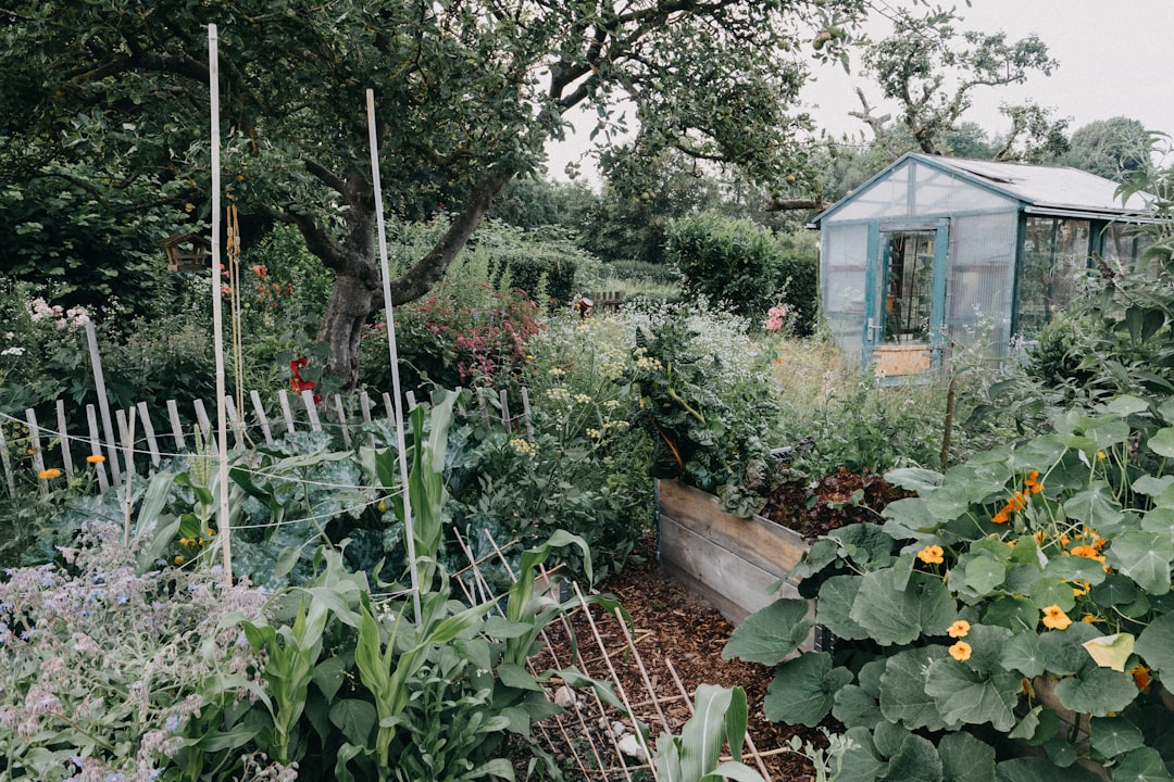 découvrez le co-gardening, une approche collaborative du jardinage qui favorise le partage, l'entraide et la biodiversité pour créer des espaces verts durables et conviviaux.