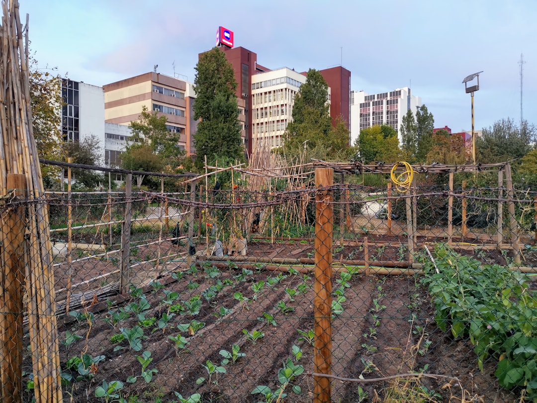 découvrez nos parcelles de jardin communautaire, un espace partagé pour cultiver vos légumes, fleurs et herbes tout en favorisant les liens entre voisins.