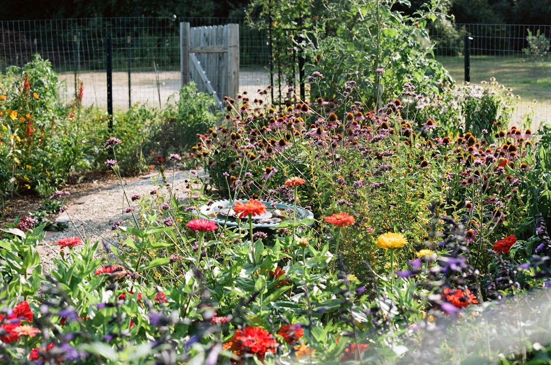 découvrez nos parcelles de jardinage communautaire, un espace idéal pour cultiver vos légumes et fleurs tout en partageant des moments conviviaux avec vos voisins.